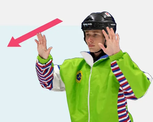 Bandy-Domartecken Backa