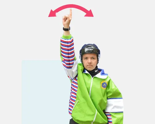 Bandy-domartecken - boll i tak