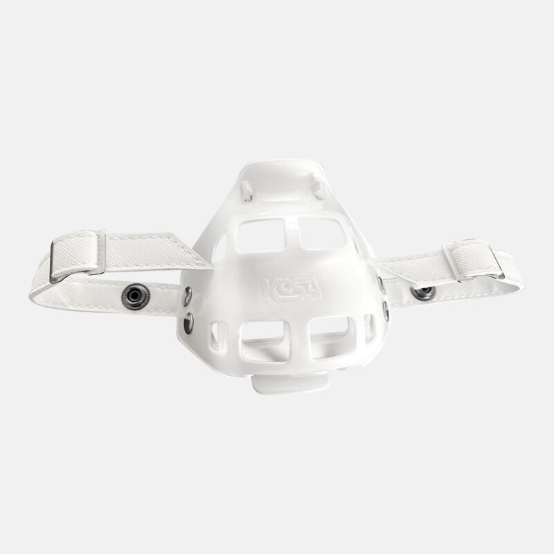 Bandy Mask
